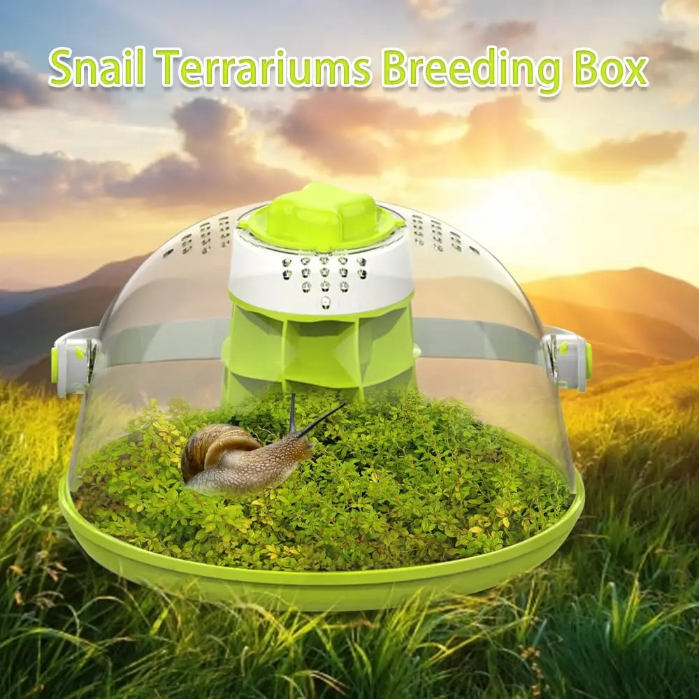 Snail & Insect Habitat Box - Clear Feeding Terrarium for Small Bugs, Eco Observation Container for Kids Science - Image 6