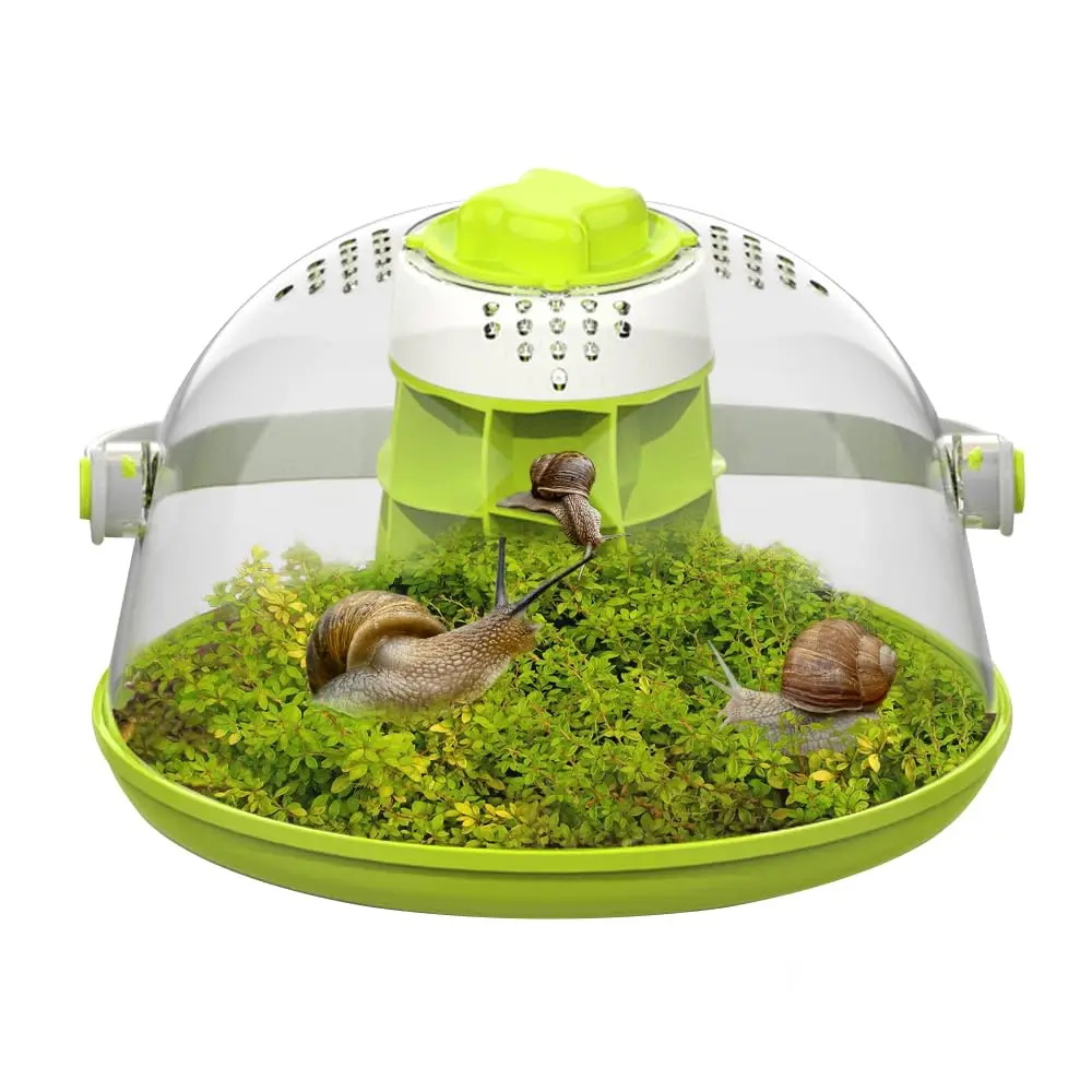 Snail & Insect Habitat Box - Clear Feeding Terrarium for Small Bugs, Eco Observation Container for Kids Science