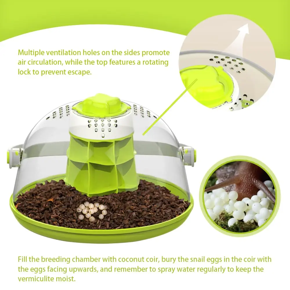 Snail & Insect Habitat Box - Clear Feeding Terrarium for Small Bugs, Eco Observation Container for Kids Science - Image 4