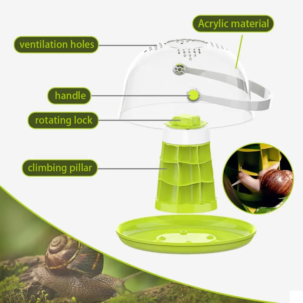 Snail & Insect Habitat Box - Clear Feeding Terrarium for Small Bugs, Eco Observation Container for Kids Science - Image 5